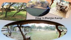 Wag 'n Bietjie Camp
Accommodate 6 people