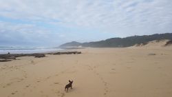 Quiet Beach