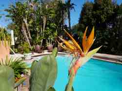 Beautiful Garden