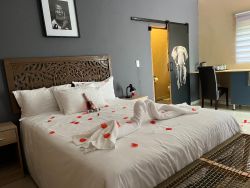 Tlou Room 