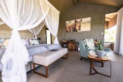 Premier Room