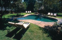 Kingfisher Pool