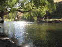 Trout Waters
