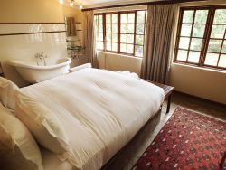 Luxury King Room