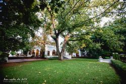 Grounds