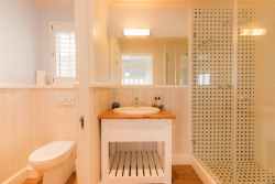 Downstairs bedroom's bathroom with enclosed toilet