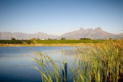 Scenic walks around the dam