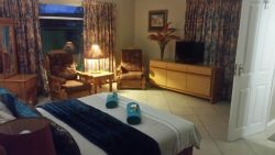 The Blue Room