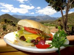 Our very delicious home made cheese burger