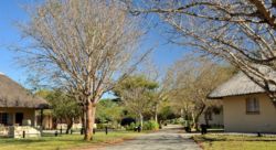 Grounds