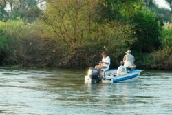 Tigerfish fishing by boat