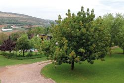 Kranskloof
