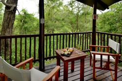 Room View