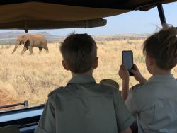 On a game drive