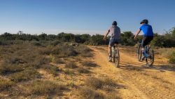 Bike Trail