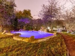 Swimming pool area