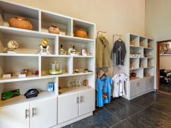 Curio shop