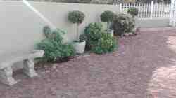 Garden Area
