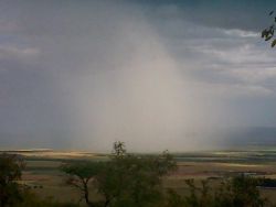 View from Koppie