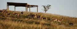 picnic area at Kwetu