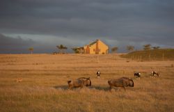 Springbok cottage at Sunset
