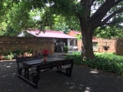 View of Pecan Tree Cottage from under the Pecan Tree