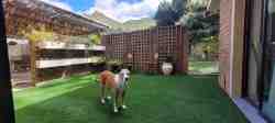Basic Double Room patio and Coco