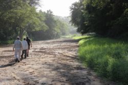 Big 5 Walking Safaris