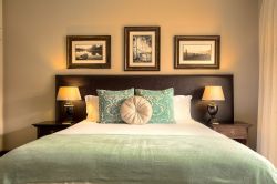 Deluxe King Room with shower and bath