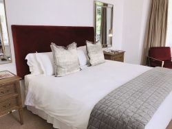 Superior King Suite 1