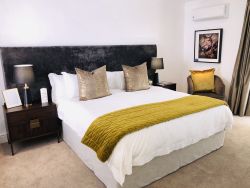 Superior King / Twin Suite 4