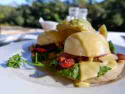 Eggs Benedict.