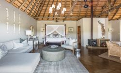 Romance suite