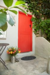 Little Forest offers a home away from home