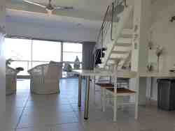 Lounge / dinning area