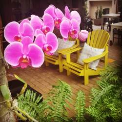 Garden and outside seating area
