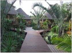 wooden deck leading from main area to individual chalets