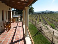 Vineyard Room View