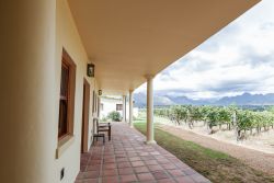 Standard Room View - Downstairs
