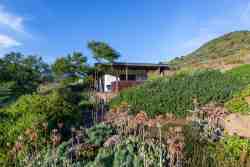 Cottage Garden