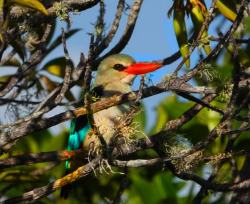 Bird's eye view of the camp