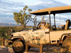 Game Drives