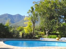 Swimming Pool with a view.