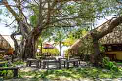 Inhaca Island beach fires, barbeque, braai areas, fire place on the beach front Inhaca Island Mozambique Manico Camp
