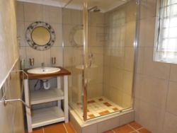 Birdsong Ground Floor Shower 2