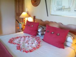 Waiting for honeymoon guests