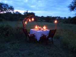 Candlelight Dinner