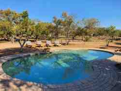 In addition to the bush, our A frames and chalets, our lodge also contains a lovely swimming pool where you can take a refreshing dip. You can relax on one of our sunbeds and enjoy the peace and the sun’s rays. The swimming pool is centrally located, so that it is quickly accessible from every house. Next to the pool is the Lapa, where you can get a cooling drink or tasty snack for a fee to complete this great sun experience.
