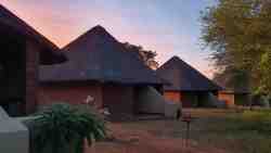 Masorini Bush Lodge has four chalets consisting of two semi-detached houses.  The chalets are therefore also very suitable for a family that would like to be close to each other. The chalets are fully equipped and have a cozy atmosphere of a rondavel with its grass roof. From your own terrace you can look straight into the bush, where you will regularly see the impalas walking around. The chalets are close to the swimming pool and from there you walk straight to the lapa, where you can enjoy a snack and drink. 

The chalets are modern, but elegantly furnished with a South African touch. The rooms are cleaned daily and have every comfort. 