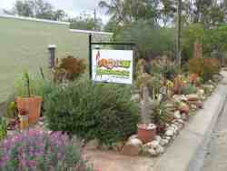 Where to find us